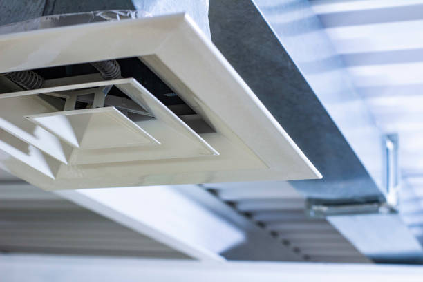 Best Home Air Vent Cleaning  in Thorp, WI