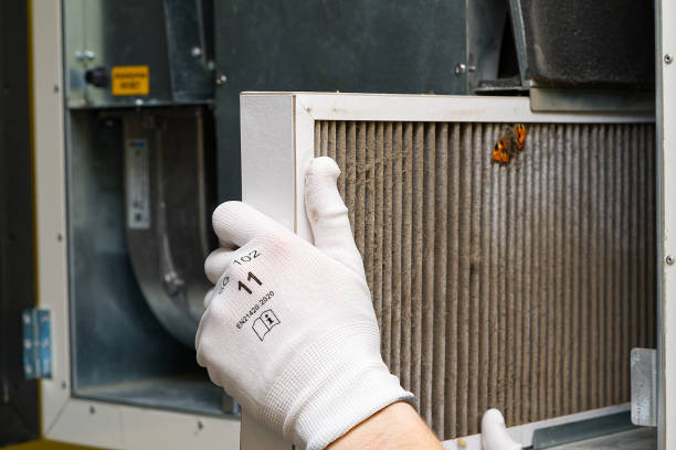 Best Commercial Air Duct Cleaning  in Thorp, WI