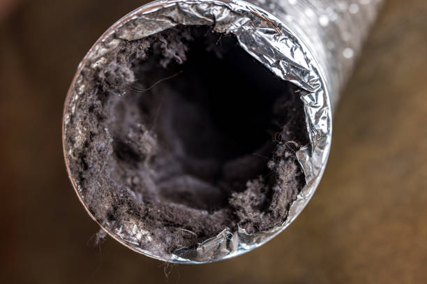 Best Best Air Duct Cleaning Company  in Thorp, WI
