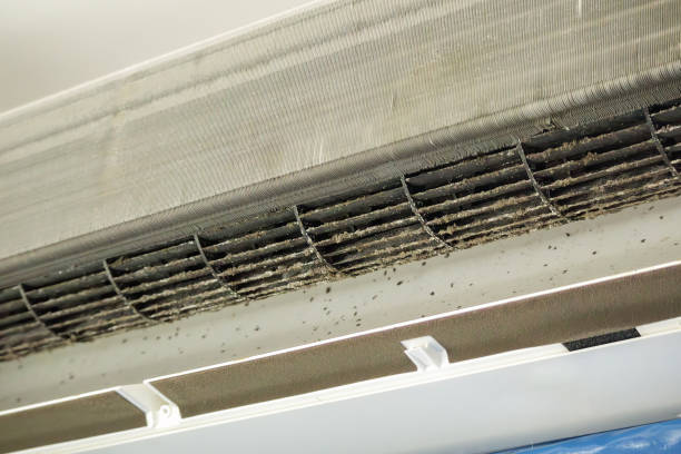 Best Air Duct Cleaning Near Me  in Thorp, WI